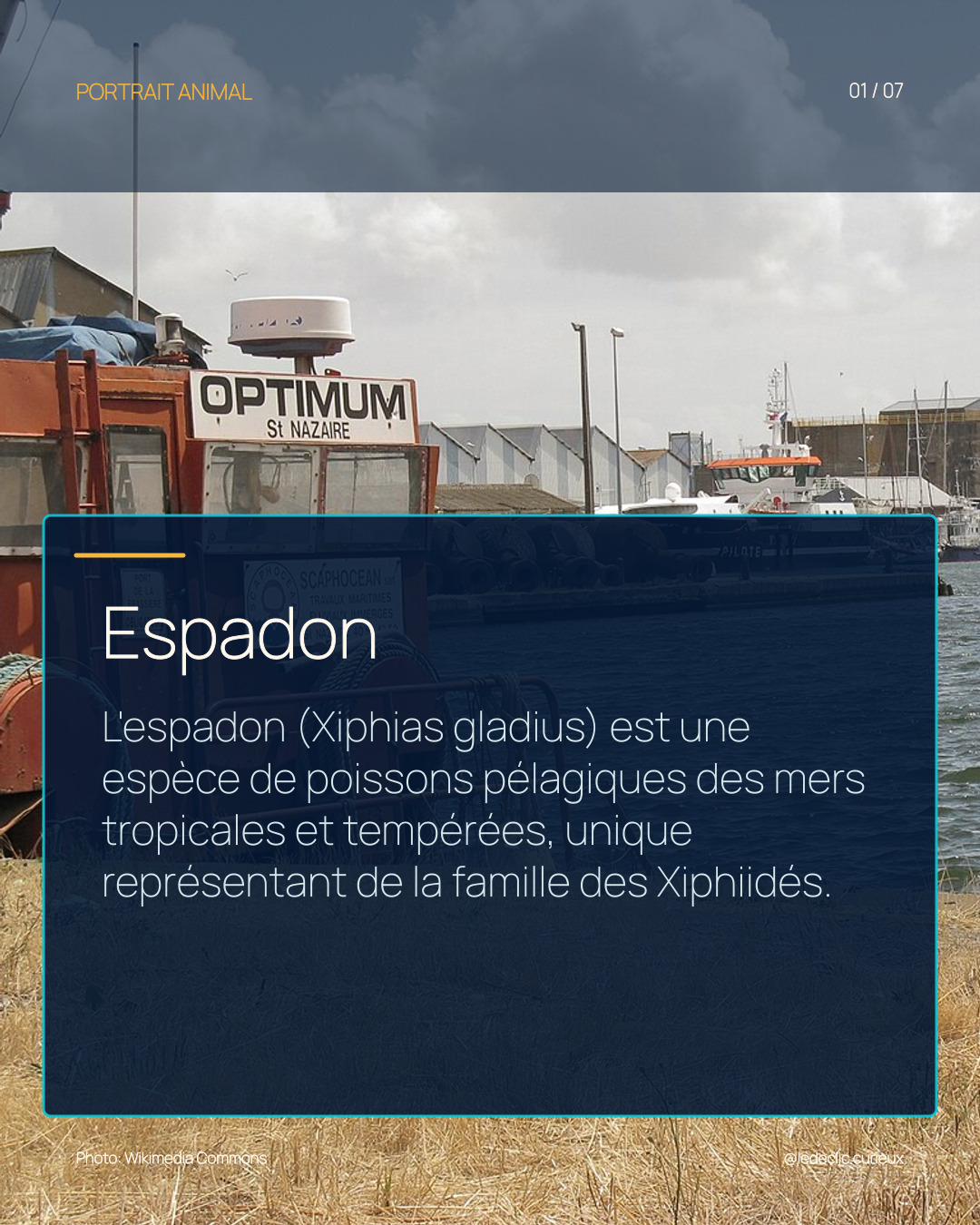 Espadon