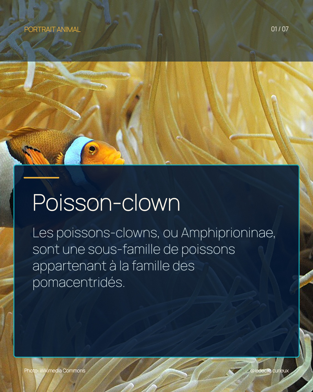 Poisson-clown
