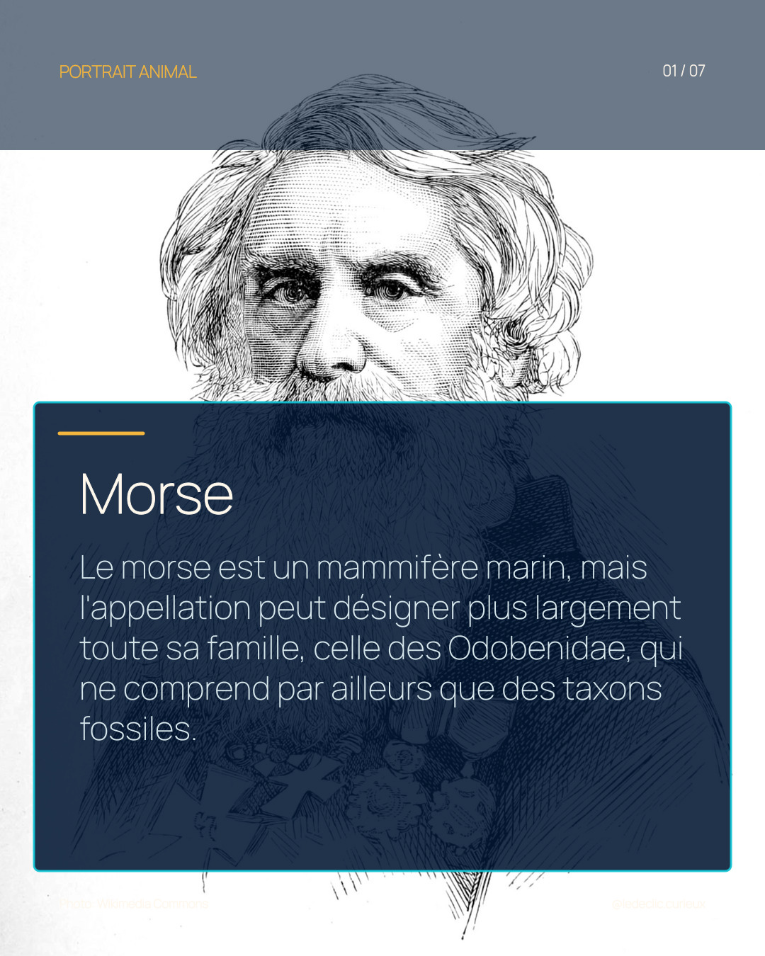 Morse