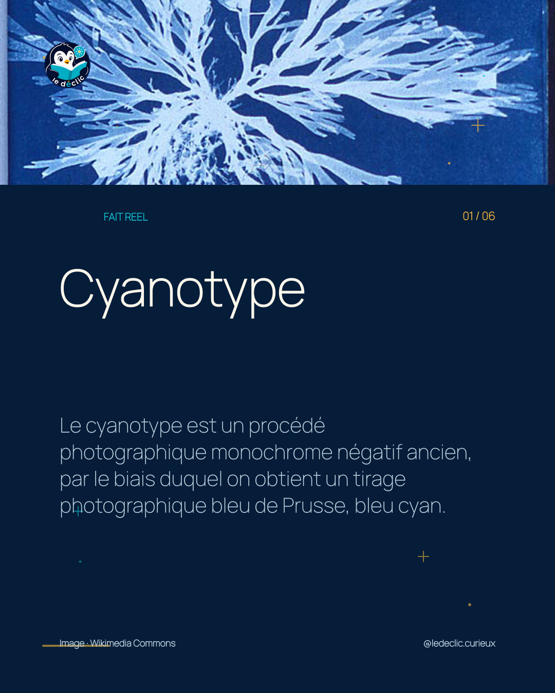 Cyanotype