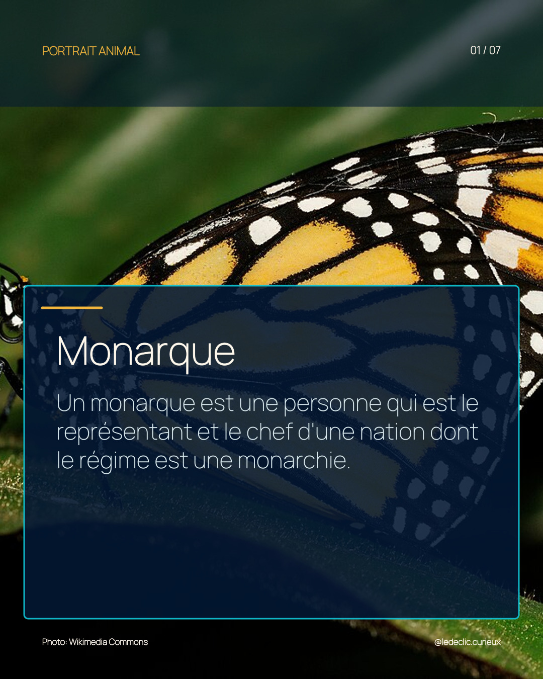 Monarque