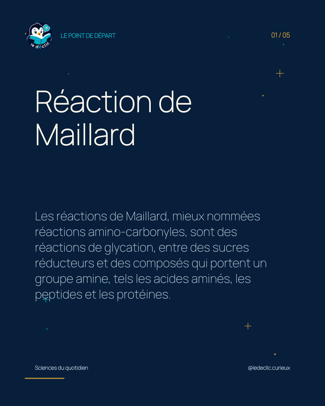 Comprendre : Réaction de Maillard
