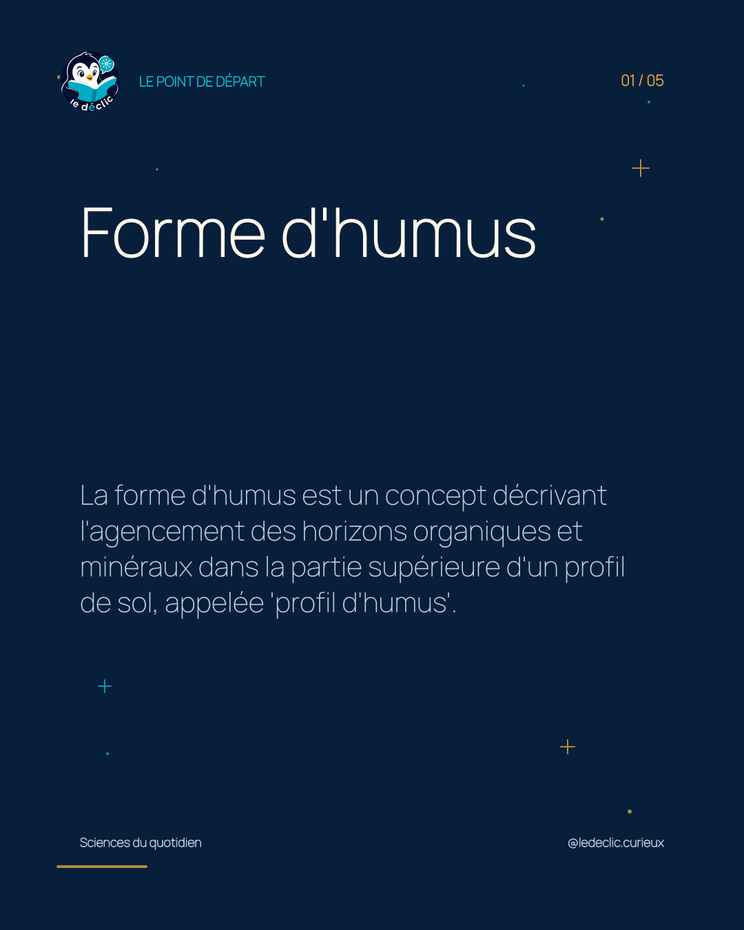 Comprendre : Forme d'humus