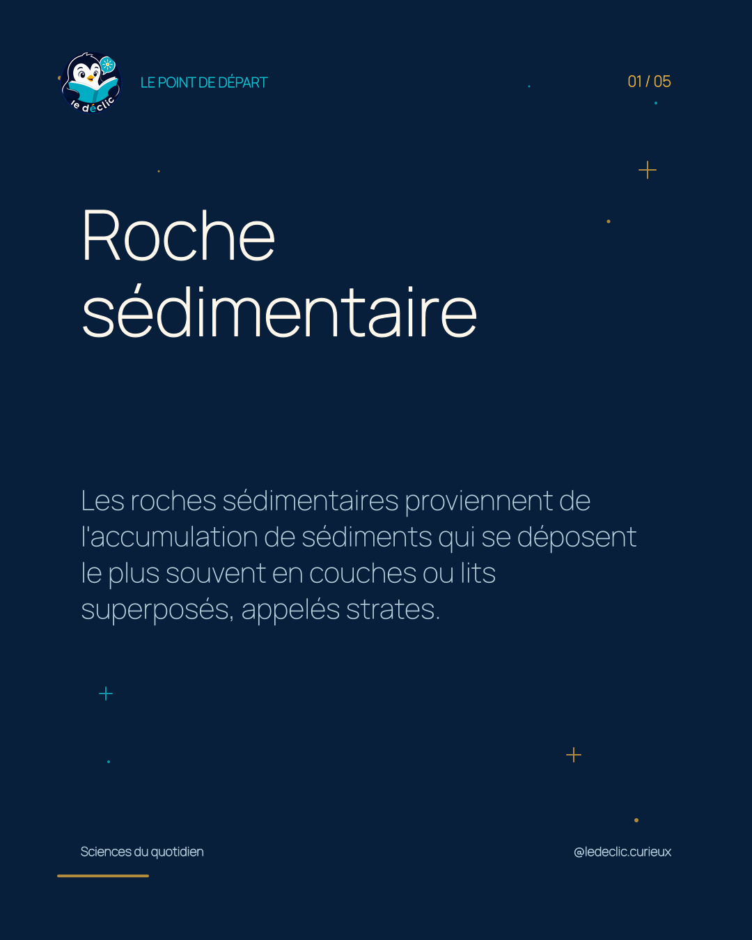 Comprendre : Roche sédimentaire