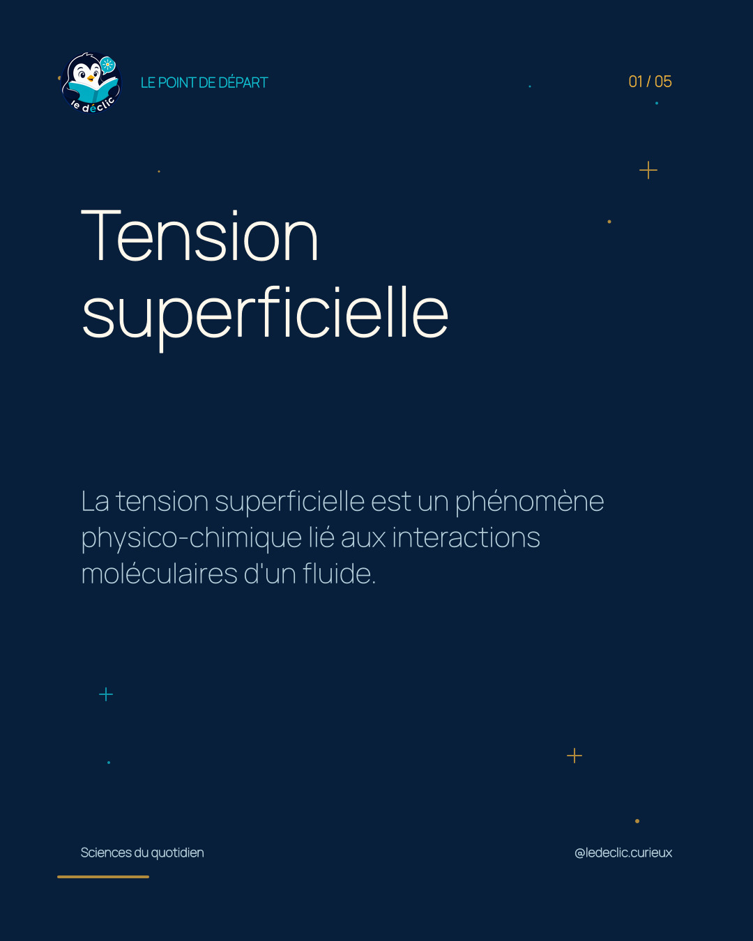 Comprendre : Tension superficielle