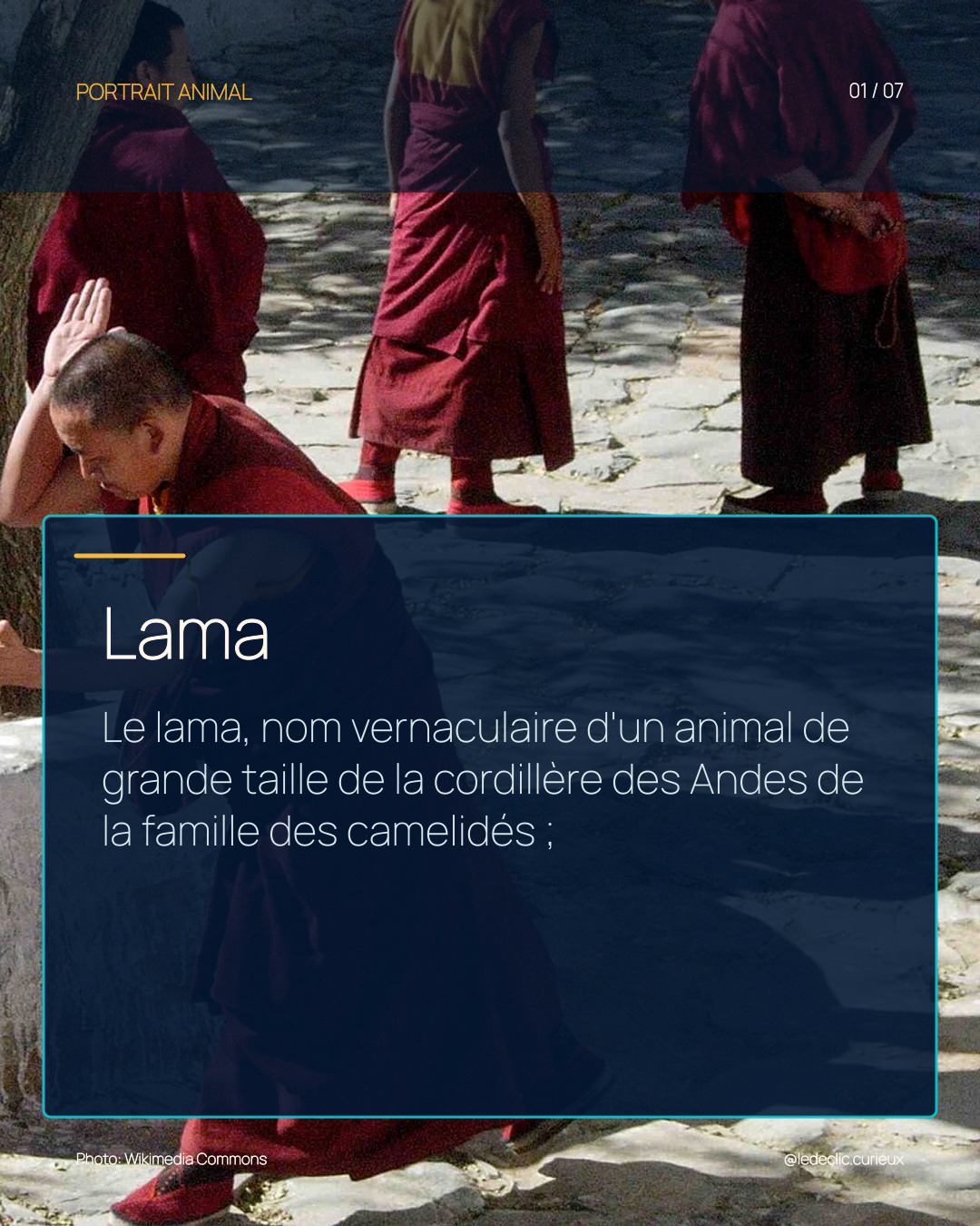 Lama