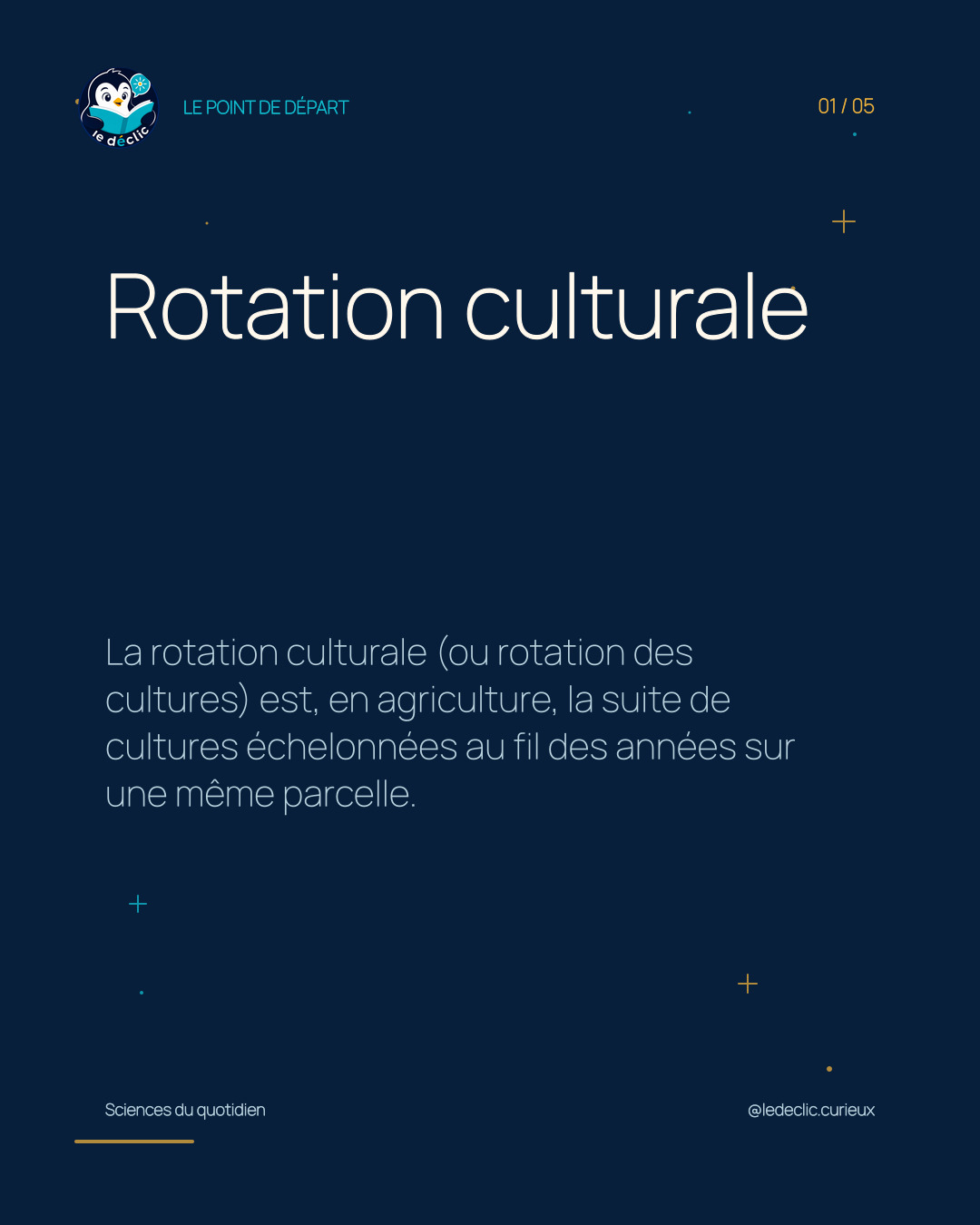 Comprendre : Rotation culturale